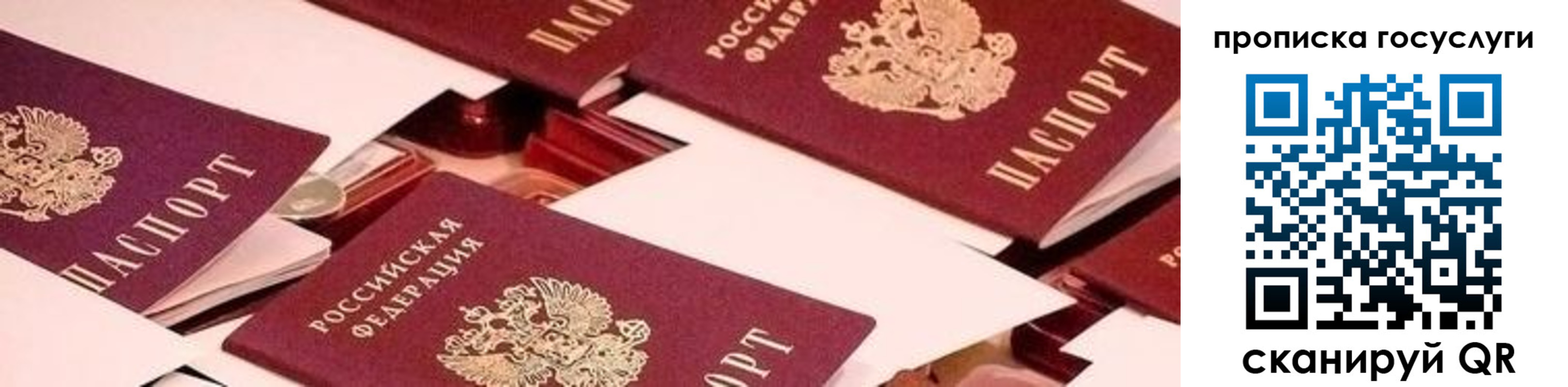регистрация в Краснодаре
